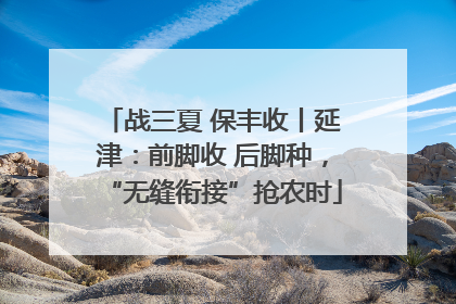 战三夏 保丰收丨延津：前脚收 后脚种，“无缝衔接”抢农时