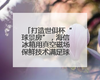 打造世俱杯“球景房”，海信冰箱用真空磁场保鲜技术满足球迷味蕾