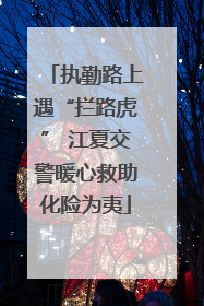执勤路上遇“拦路虎” 江夏交警暖心救助化险为夷