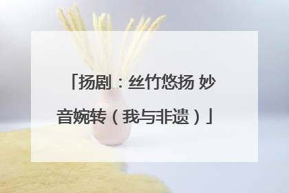 扬剧：丝竹悠扬 妙音婉转（我与非遗）