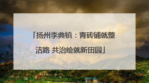 扬州李典镇：青砖铺就整洁路 共治绘就新田园