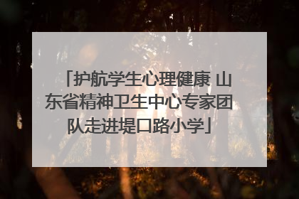 护航学生心理健康 山东省精神卫生中心专家团队走进堤口路小学