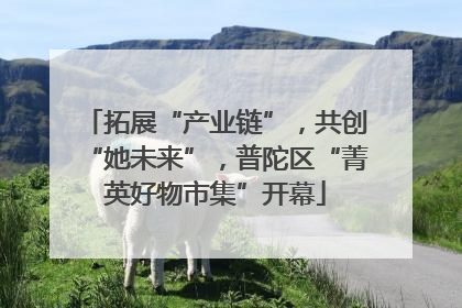 拓展“产业链”，共创“她未来”，普陀区“菁英好物市集”开幕