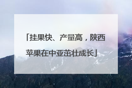 挂果快、产量高，陕西苹果在中亚茁壮成长