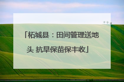 柘城县：田间管理送地头 抗旱保苗保丰收