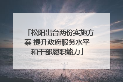 松阳出台两份实施方案 提升政府服务水平和干部履职能力