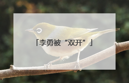 李勇被“双开”