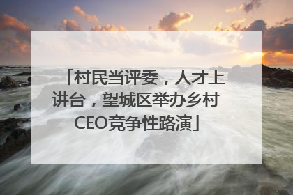 村民当评委，人才上讲台，望城区举办乡村CEO竞争性路演