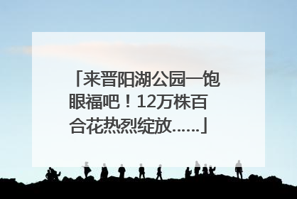 来晋阳湖公园一饱眼福吧！12万株百合花热烈绽放……