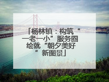 杨林镇：构筑“一老一小”服务圈 绘就“朝夕美好”新图景