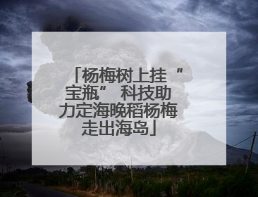 杨梅树上挂“宝瓶” 科技助力定海晚稻杨梅走出海岛