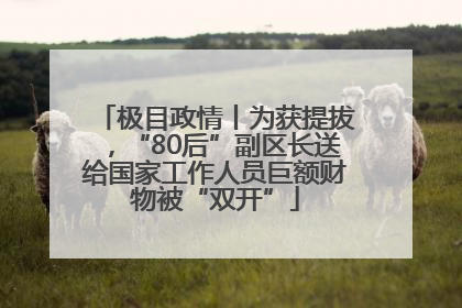 极目政情丨为获提拔，“80后”副区长送给国家工作人员巨额财物被“双开”
