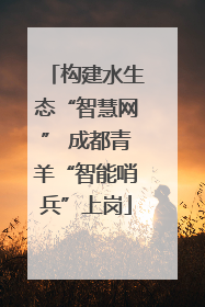 构建水生态“智慧网” 成都青羊“智能哨兵”上岗