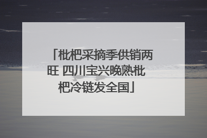 枇杷采摘季供销两旺 四川宝兴晚熟枇杷冷链发全国