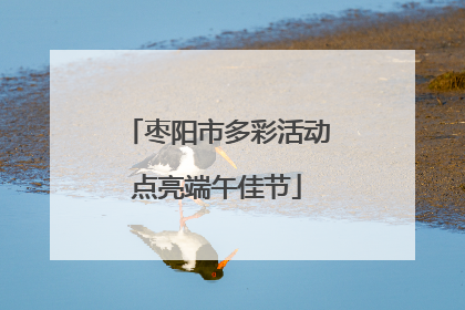枣阳市多彩活动点亮端午佳节