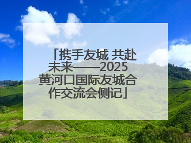 携手友城 共赴未来——2025黄河口国际友城合作交流会侧记