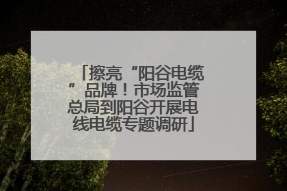 擦亮“阳谷电缆”品牌！市场监管总局到阳谷开展电线电缆专题调研