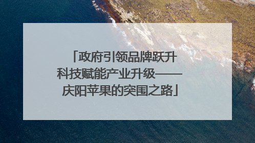 政府引领品牌跃升 科技赋能产业升级——庆阳苹果的突围之路