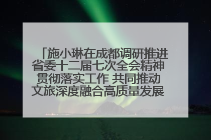 施小琳在成都调研推进省委十二届七次全会精神贯彻落实工作 共同推动文旅深度融合高质量发展 加快打造支柱产业民生产业幸福产业