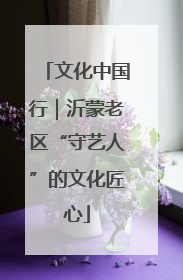 文化中国行｜沂蒙老区“守艺人”的文化匠心