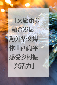 文旅康养融合发展 海外华文媒体山西高平感受乡村振兴活力