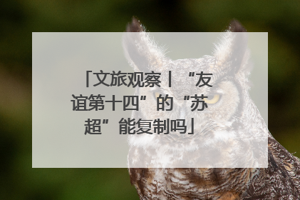 文旅观察丨“友谊第十四”的“苏超”能复制吗
