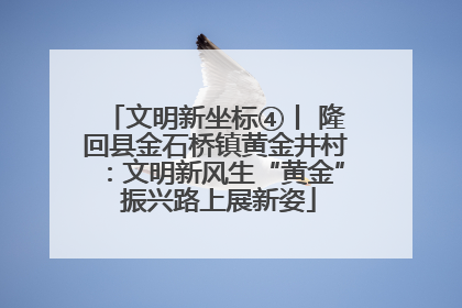 文明新坐标④丨 隆回县金石桥镇黄金井村：文明新风生“黄金” 振兴路上展新姿