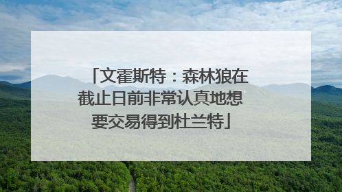 文霍斯特：森林狼在截止日前非常认真地想要交易得到杜兰特