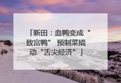 新田：血鸭变成“致富鸭” 预制菜撬动“舌尖经济”
