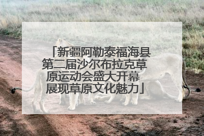 新疆阿勒泰福海县第二届沙尔布拉克草原运动会盛大开幕 展现草原文化魅力