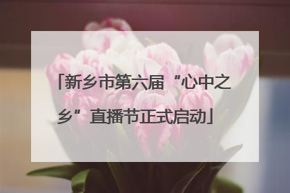 新乡市第六届“心中之乡”直播节正式启动
