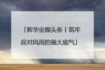 新华全媒头条丨筑牢应对风雨的强大底气
