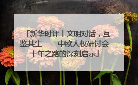 新华时评丨文明对话，互鉴共生——中欧人权研讨会十年之路的深刻启示