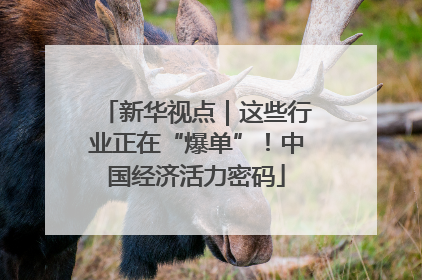 新华视点｜这些行业正在“爆单”！中国经济活力密码