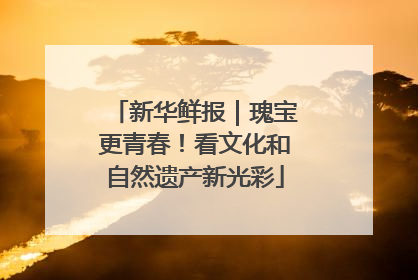 新华鲜报｜瑰宝更青春！看文化和自然遗产新光彩