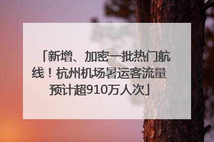 新增、加密一批热门航线！杭州机场暑运客流量预计超910万人次