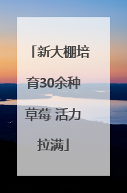 新大棚培育30余种草莓 活力拉满