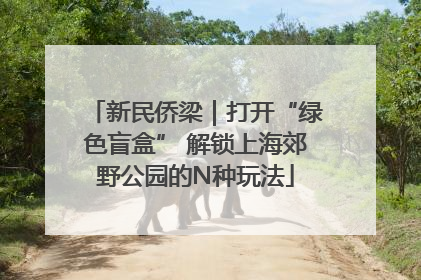 新民侨梁｜打开“绿色盲盒” 解锁上海郊野公园的N种玩法