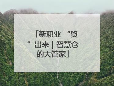 新职业 “贸”出来｜智慧仓的大管家