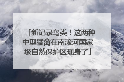 新记录鸟类！这两种中型猛禽在南滚河国家级自然保护区现身了