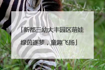 新都三幼大丰园区萌娃绿茵逐梦，童趣飞扬