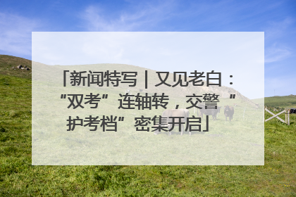 新闻特写｜又见老白：“双考”连轴转，交警“护考档”密集开启