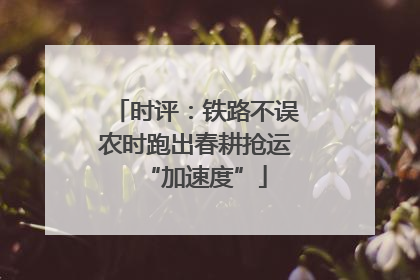时评：铁路不误农时跑出春耕抢运“加速度”