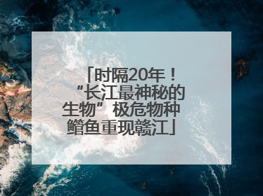 时隔20年！“长江最神秘的生物”极危物种鳤鱼重现赣江