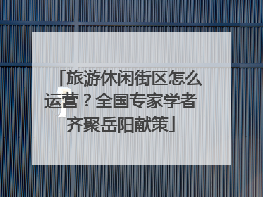 旅游休闲街区怎么运营？全国专家学者齐聚岳阳献策