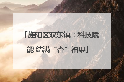 旌阳区双东镇：科技赋能 结满“杏”福果