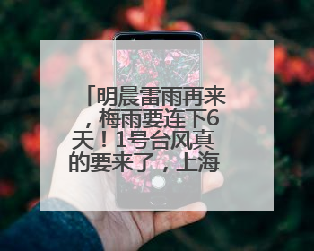明晨雷雨再来，梅雨要连下6天！1号台风真的要来了，上海天气或有变！