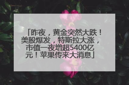 昨夜，黄金突然大跌！美股爆发，特斯拉大涨，市值一夜增超5400亿元！苹果传来大消息