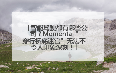 智能驾驶都有哪些公司？Momenta“穿行桥底迷宫”无法不令人印象深刻！