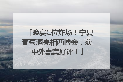 晚宴C位炸场！宁夏葡萄酒亮相西博会，获中外嘉宾好评！